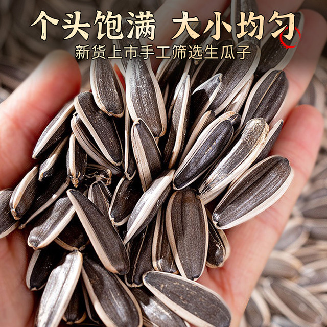 Original Fried Melon Seeds Inner Mongolia New Arrival Particles ໃຫຍ່