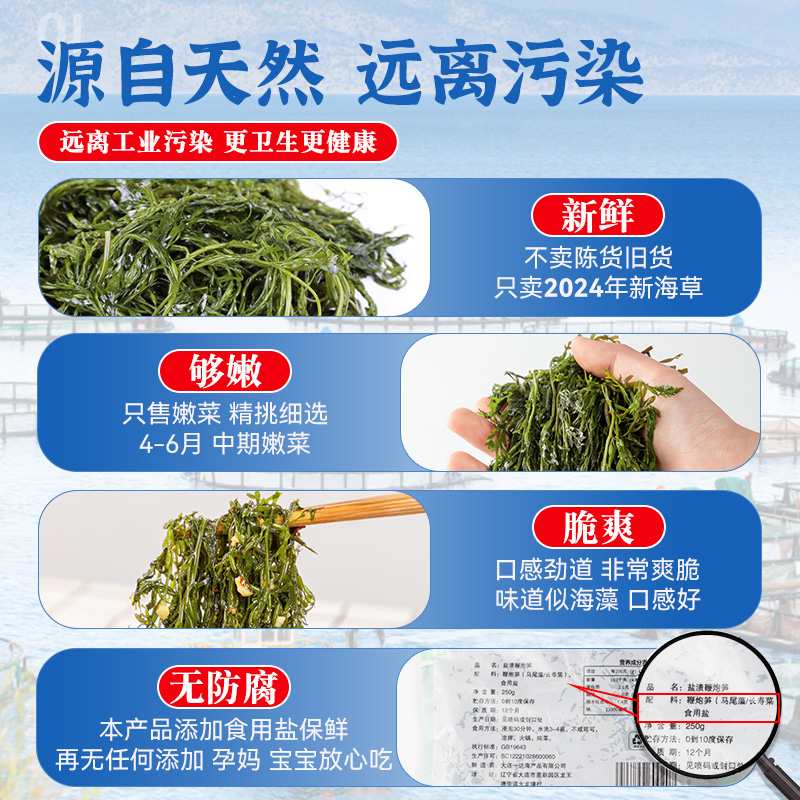 鞭炮笋凉拌菜新鲜盐渍马尾藻长寿菜火锅食材海带海菜鞭泡笋菜商用-图0