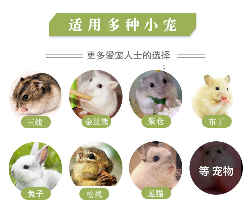 苹果枝仓鼠零食磨牙棒金丝熊咬木荷兰猪龙猫豚鼠兔子宠物造景用品,淘宝优惠券,粉丝福利购,淘宝优惠卷