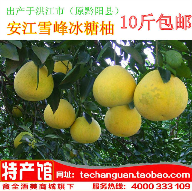 Anjiang Bingtang Pomelo Xuefeng Pomelo Golden Lan Pomelo Crisp Sweet Bitter Pomelo
