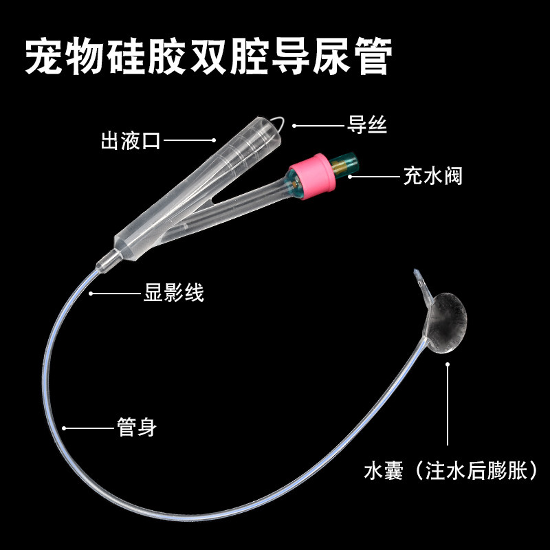 犬用导尿管双腔硅胶带金属导丝带显影带球囊排尿宠物狗狗用导尿管,淘宝优惠券,粉丝福利购,淘宝优惠卷
