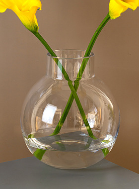 极光幻彩镭射北欧风现代简约花瓶鲜花插花玻璃瓶花器花艺家居