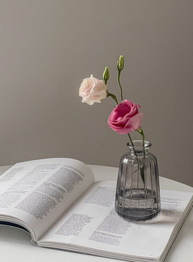 小清新单只彩色玻璃桌面花瓶家居摆件北欧透明装饰客厅插花水培