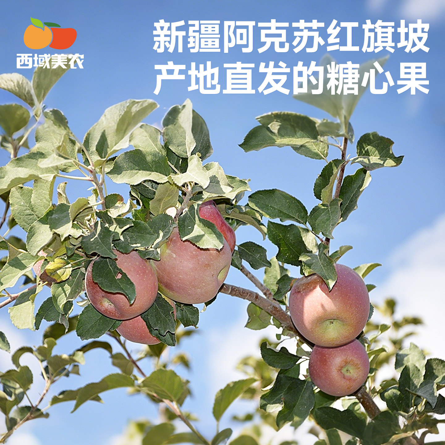 礼盒装正宗新疆阿克苏冰糖心苹果新鲜水果苹果当季产地直发,淘宝优惠券,粉丝福利购,淘宝优惠卷