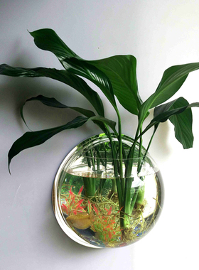 微景草缸有机玻璃花瓶器皿水族箱