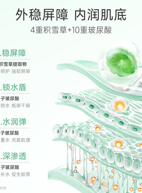 W.Lab大福留积雪草精华液