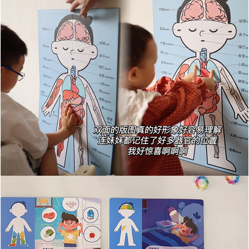 Yaofish奔跑吧红细胞桌游儿童人体百科益智玩具科普亲子互动游戏 - 图2