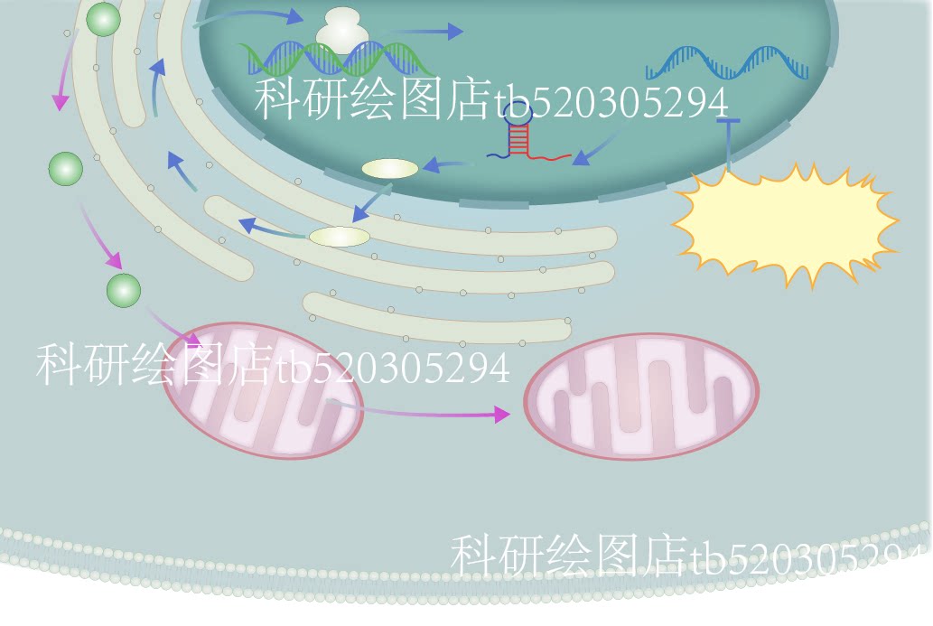 科研绘图素材代画sci医学作用机制图绘制科学作图手绘ai科研绘图_虎窝淘