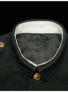 假领子冬常服衣领白领衬绿领条