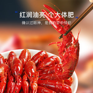 红小厨麻辣小龙虾加热即食熟食冷冻非鲜活3-5钱麻辣整虾700g*3盒