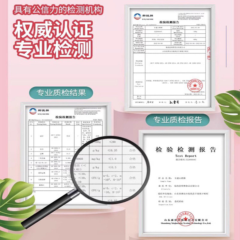 山楂棒棒糖添加儿童零食休闲食品小吃包装健康营养网红爆款批发