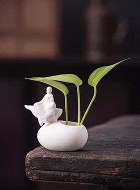 静之自然水培植物小花器摆件