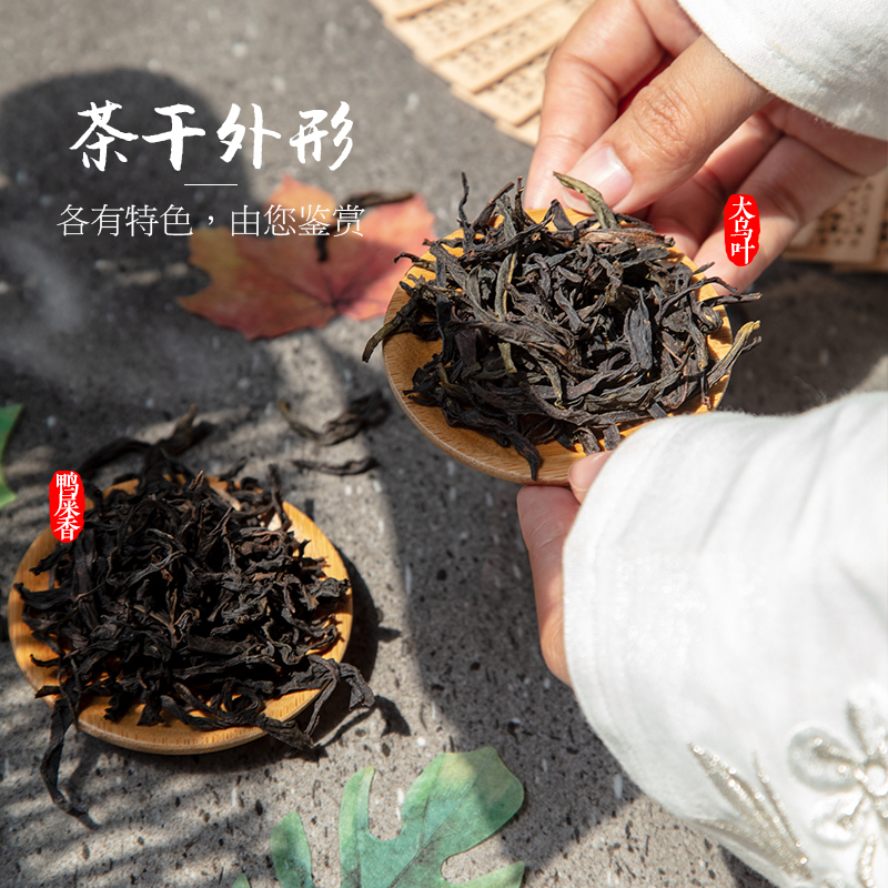 乌仕 乌岽单丛茶 凤凰单丛鸭屎香大乌叶单枞茶潮州茶叶礼盒装500g