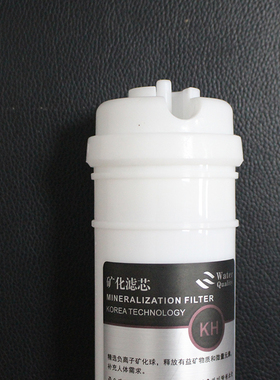 韩式2分快接插大T33矿化滤芯6级