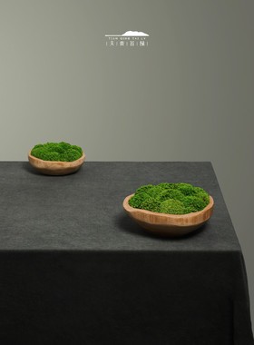2026天青苔绿 侘寂风原木新中式 样板房民宿酒店永生苔藓实木创意