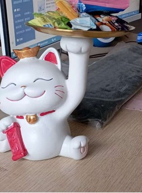 2026招财猫财袋捧花摆件客厅插花轻奢高级感餐桌面玄关装饰品生日