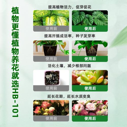 HB101植物活力素营养液通用型颗粒快速生根有机家庭园艺肥料农业 - 图1