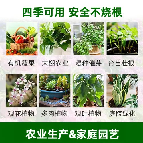 HB101植物活力素营养液通用型颗粒快速生根有机家庭园艺肥料农业 - 图2