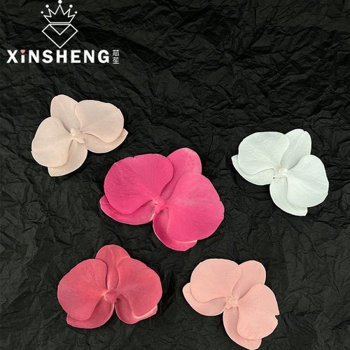 芯苼 鲜花喷漆喷色剂乌梅紫酱芭比粉色系花店专用网红花艺diy材料 - 图2