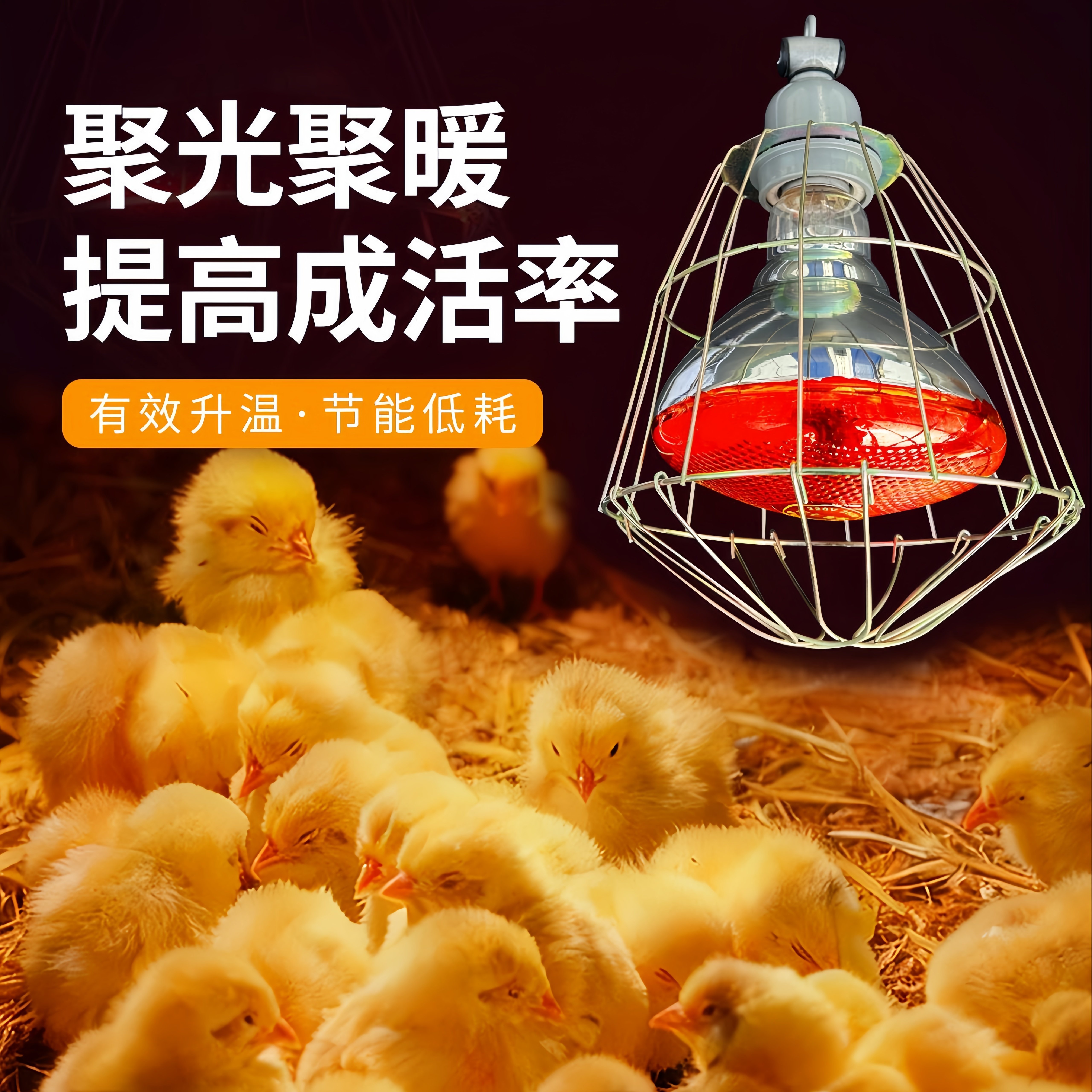 小鸡保温灯自动控温保温养殖取暖灯加热灯泡养殖用保温灯套装可调,淘宝优惠券,粉丝福利购,淘宝优惠卷