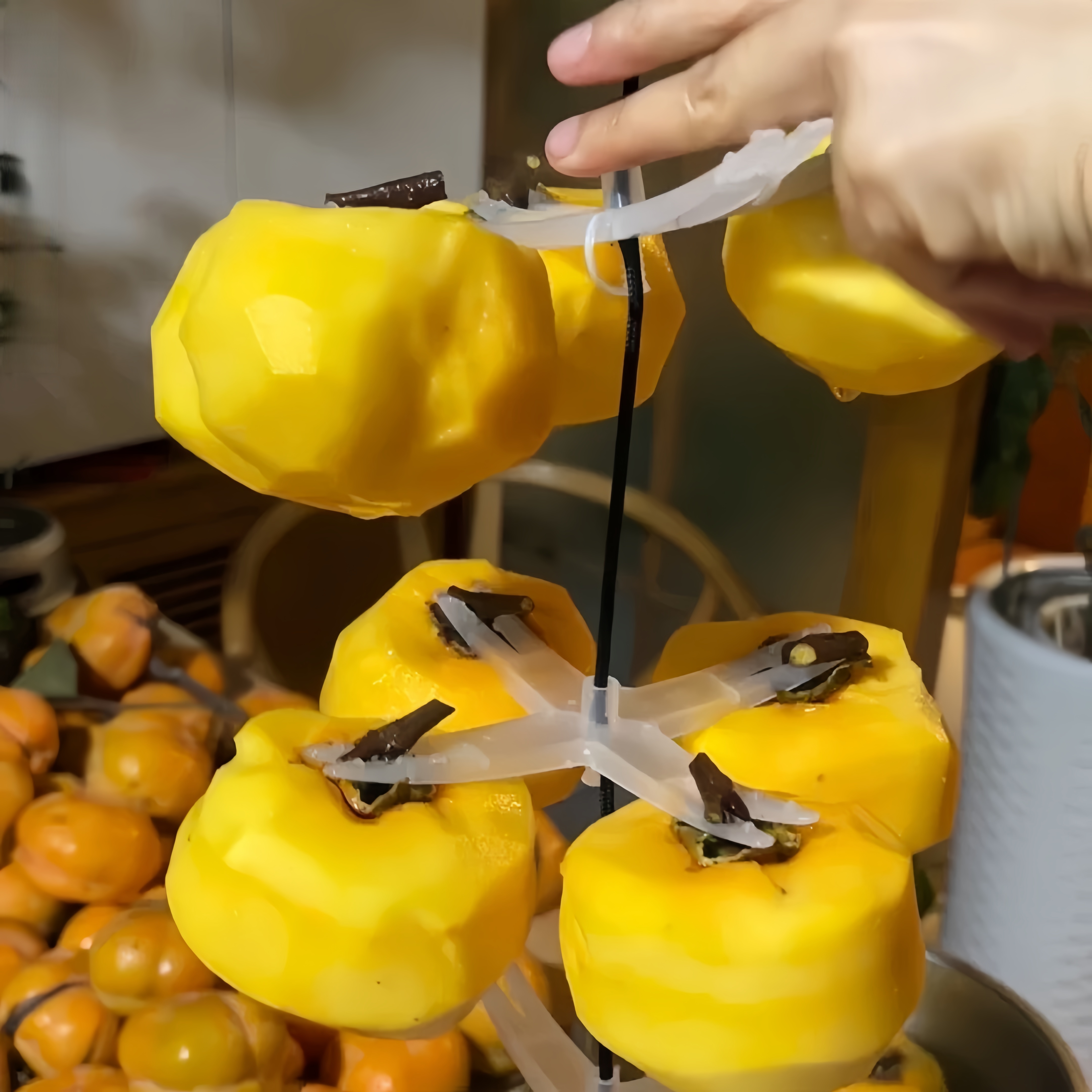 柿饼挂架晾晒柿饼神器塑料吊柿挂架十字柿夹子晾晒工具挂柿饼农用 - 图1