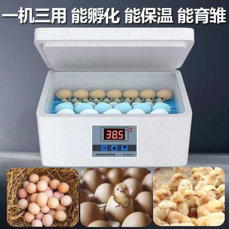 全自动控温智能水床孵化器鸡鸭鹅鸟类孵蛋器家用小型孵化机全套,淘宝优惠券,粉丝福利购,淘宝优惠卷
