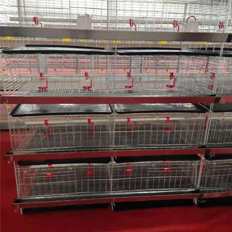 四层立式小鸡笼育雏鸡笼畜牧农用养鸡设备加粗加密层叠式小鸡笼,淘宝优惠券,粉丝福利购,淘宝优惠卷