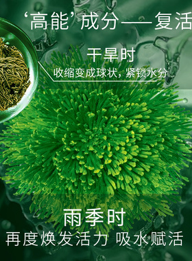 颜庄盈润补水保湿护肤品套装