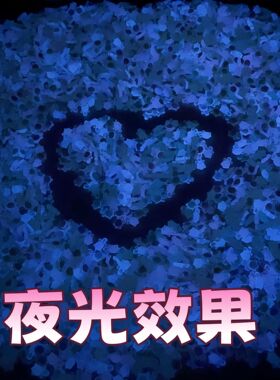 新款迷你卡通彩色夜光小乌龟