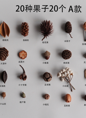 植物果壳相框干花片圣诞材料包