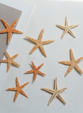 天然海星五角星贝壳家居摆件