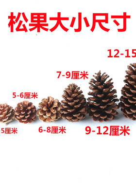 松果松塔装饰手工diy材料松球