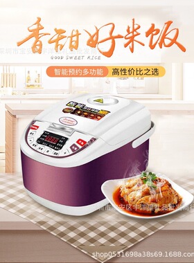 产地货源多功能电饭煲  智能电饭煲 5L电饭锅会销厨房电器