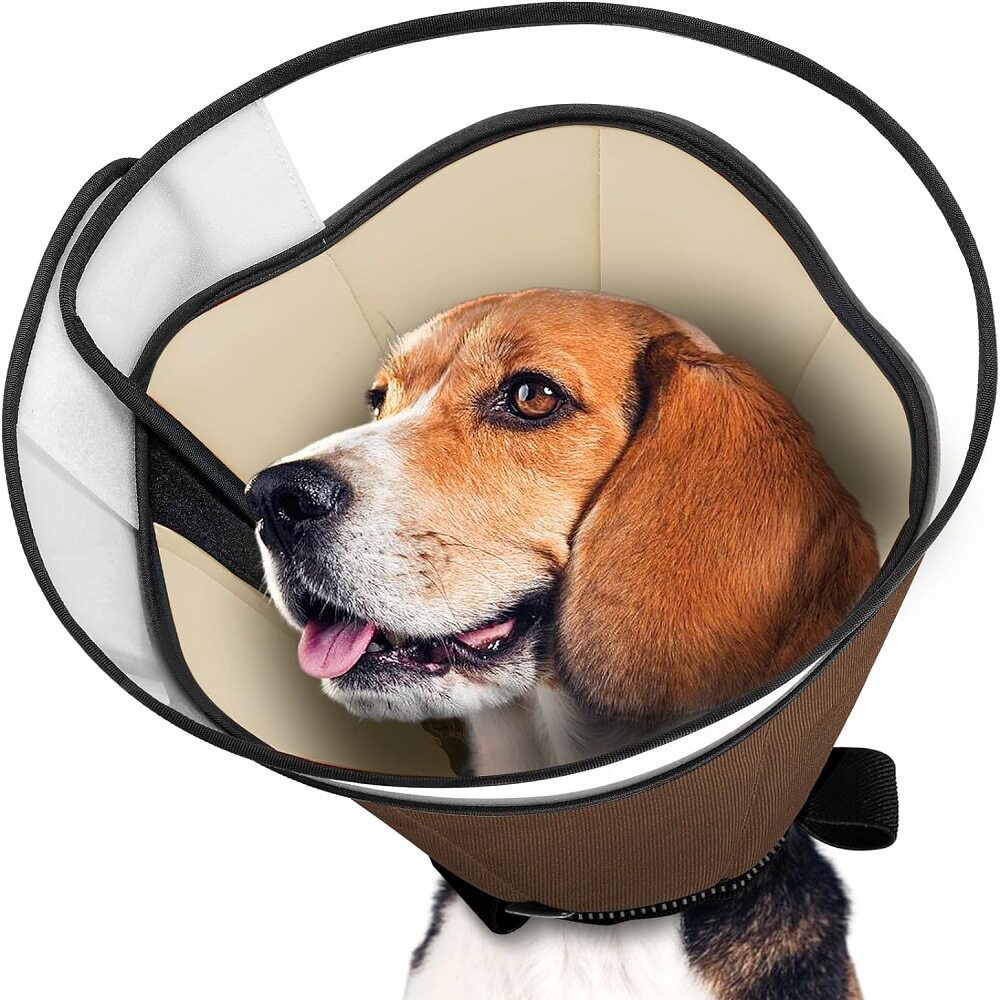 中大型犬耻辱圈宠物加深加大伊丽莎白圈狗防咬防舔防抓头套可调节,淘宝优惠券,粉丝福利购,淘宝优惠卷