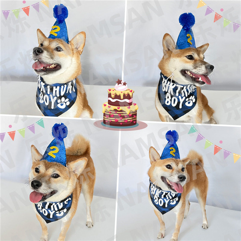 宠物生日装扮套装猫咪狗狗生日帽子口水巾围巾数字生日派对装饰道,淘宝优惠券,粉丝福利购,淘宝优惠卷
