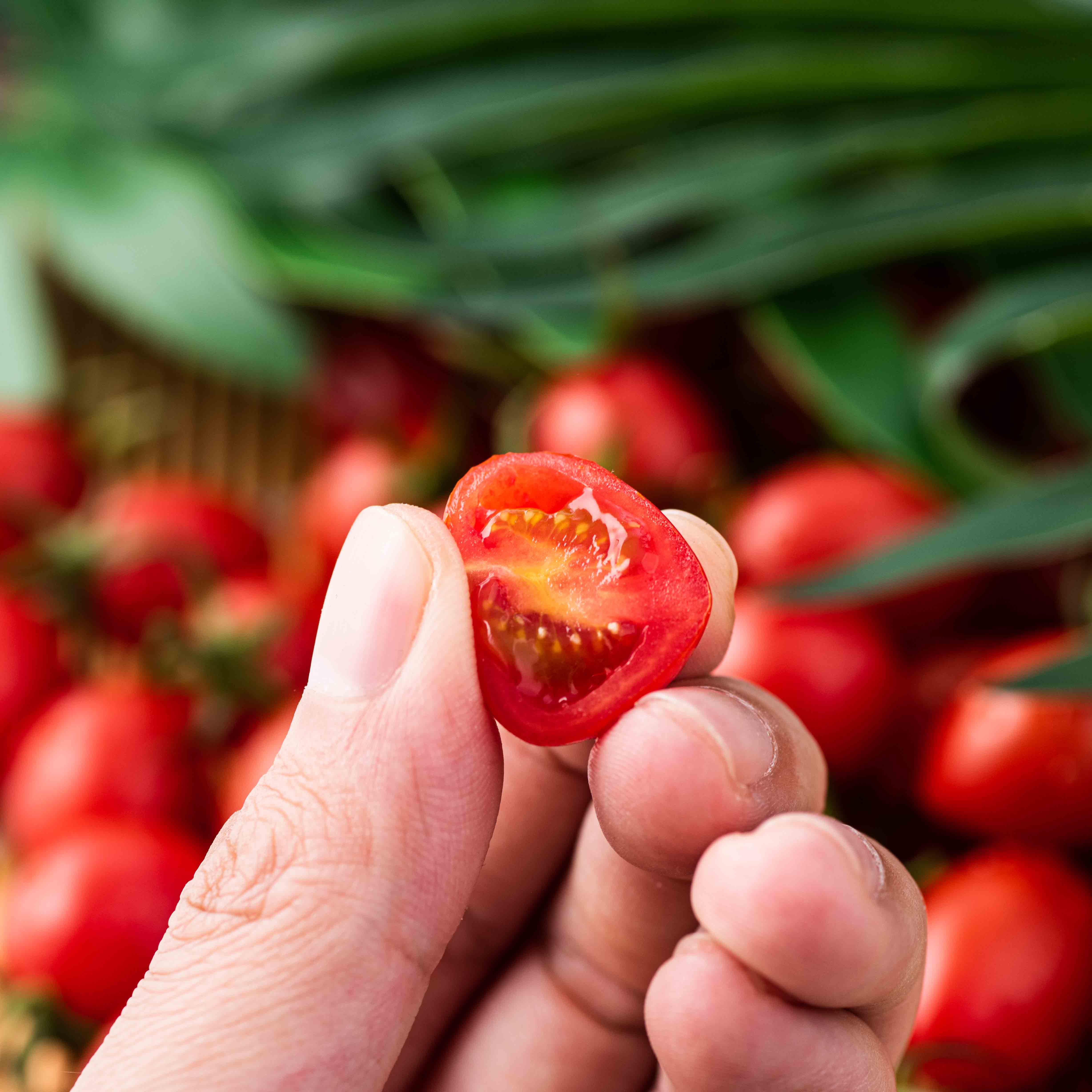 釜山88小番茄圣女果千禧玲珑果新鲜水果现摘樱桃小柿子自然熟特甜,淘宝优惠券,粉丝福利购,淘宝优惠卷