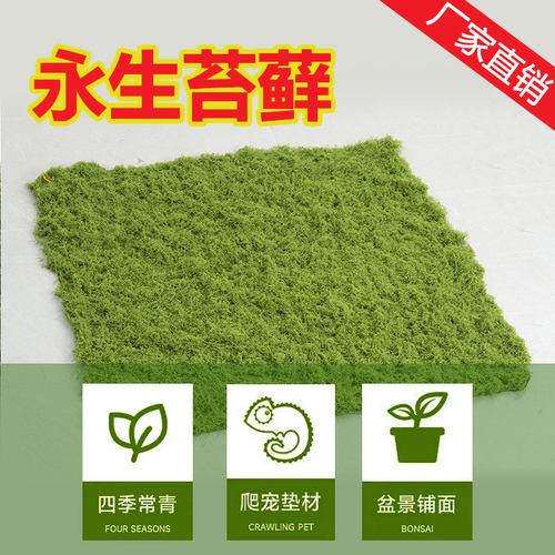 仿真苔藓草皮仿生假苔藓仿真草坪永生假青苔微景观绿植造景假草丝 - 图1