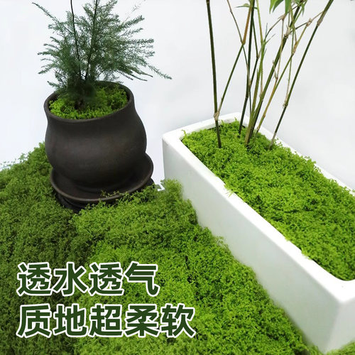 仿真苔藓草皮仿生假苔藓仿真草坪永生假青苔微景观绿植造景假草丝 - 图3