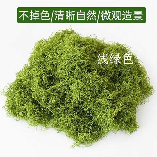 仿真苔藓草皮假青苔丝状仿生绿植盆栽人造景微景观花盆表面覆盖物