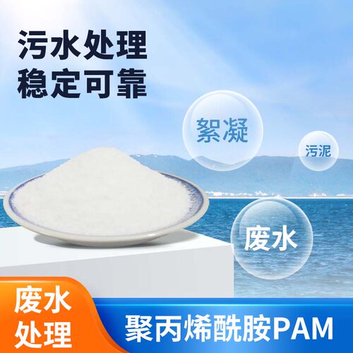 聚丙烯酰胺PAM沉淀剂阴离子阳离子非离子絮凝剂污泥水处理净化剂 - 图1