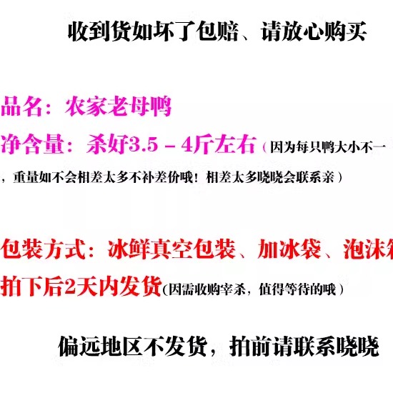 农家2年老鸭子麻鸭新鲜老鸭婆老水鸭土鸭老母鸭子湖南拍2只包邮-图1