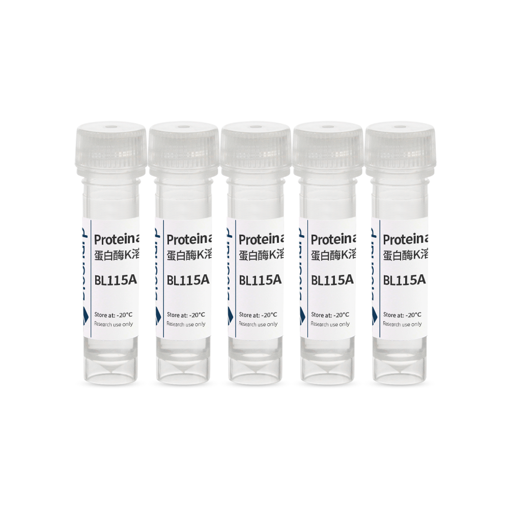 Biosharp BL115A 蛋白酶K溶液（ 10mg/ml）BL104A 蛋白酶K溶液（20mg/ml）BL115B BL104B - 图3