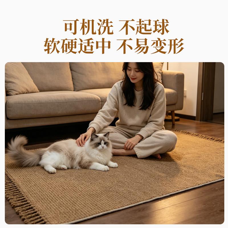 Light luxury carpet, living room, bedroom, sofa, tassel blanket, living room car blanket, shawl and casual throw blanket