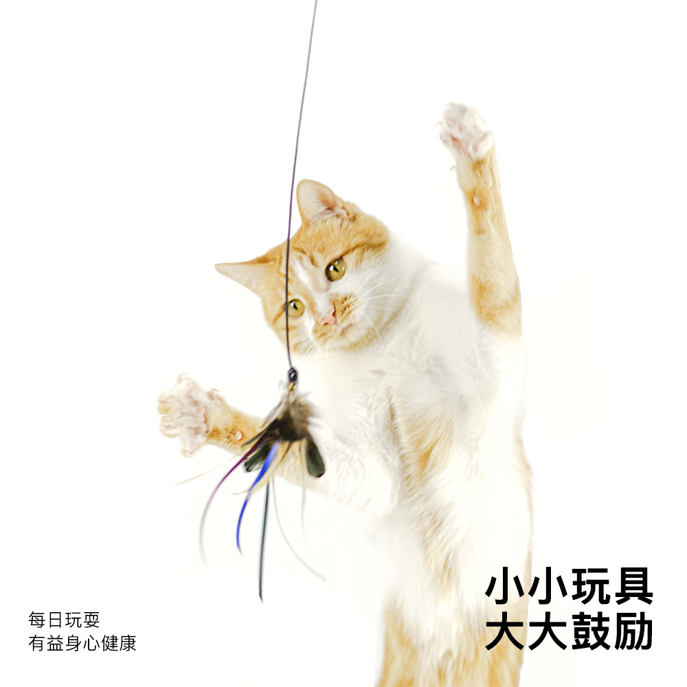 meowcard 小飞雀逗猫棒羽毛伸缩CFA比赛级替换长杆飞虫仿真猫玩具 - 图0