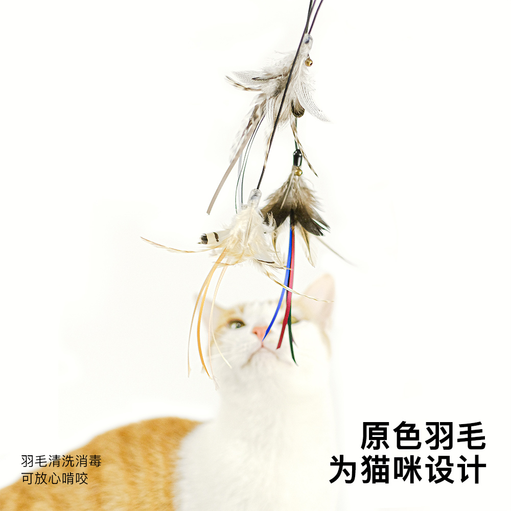 meowcard 小飞雀逗猫棒羽毛伸缩CFA比赛级替换长杆飞虫仿真猫玩具 - 图3