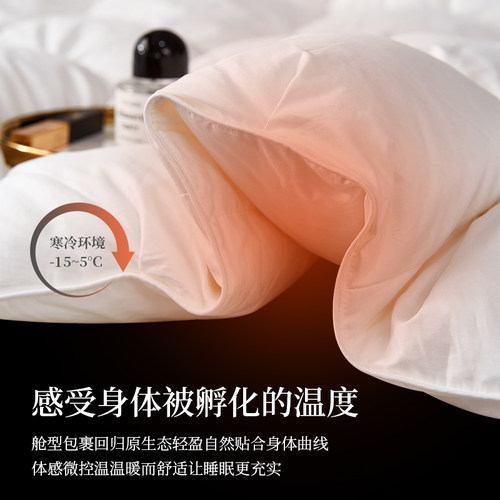 希尔顿五星级酒店正品羽绒被白鹅绒冬被保暖双人被子被芯春秋 - 图2