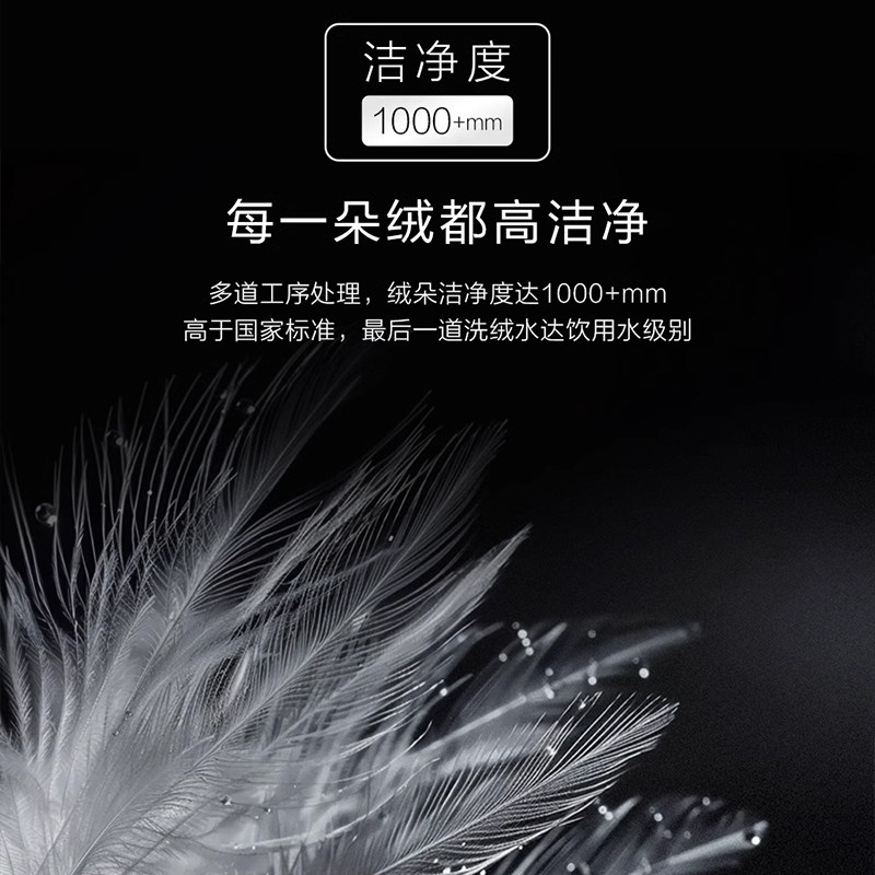 希尔顿正品羽绒被95白鹅绒被子被芯五星级酒店春秋被保暖加厚冬被,淘宝优惠券,粉丝福利购,淘宝优惠卷