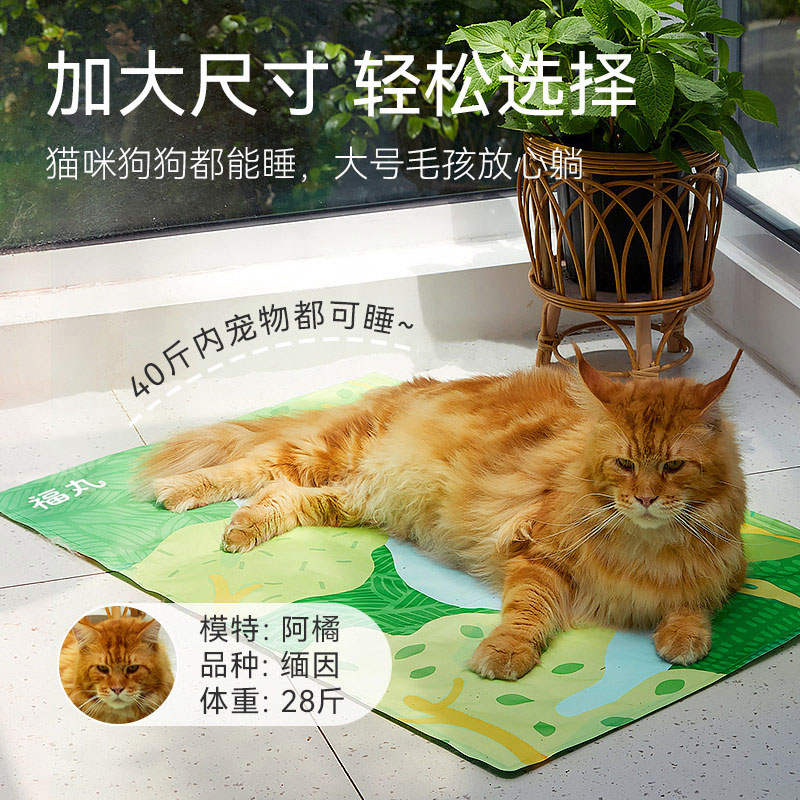 商品缩略图 4