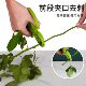 Multifunctional floral scissors for pricking flowers, removing leaves and pruning artifacts, flower arrangement scissors for flower cultivation