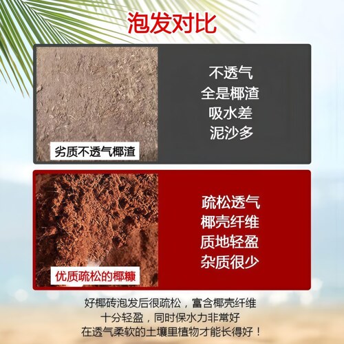 椰砖营养土椰糠土粗椰壳土壤养花通用型大块种菜专用花土脱盐椰砖 - 图2